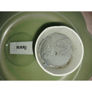 ภาพนี้แสดงถ้วยไอศกรีมสีเทาอมฟ้า วางอยู่บนจานสีเขียวอ่อน
ลักษณะไอศกรีมดูเรียบเนียน มีจุดสีเข้มกระจายอยู่เล็กน้อย คาดว่าอาจเป็นส่วนผสม เช่น ช็อกโกแลตชิพ หรือธัญพืชบดหยาบ
ด้านซ้ายของถ้วยมีป้ายชื่อ ซึ่งพิมพ์ว่า
"เบนนู"